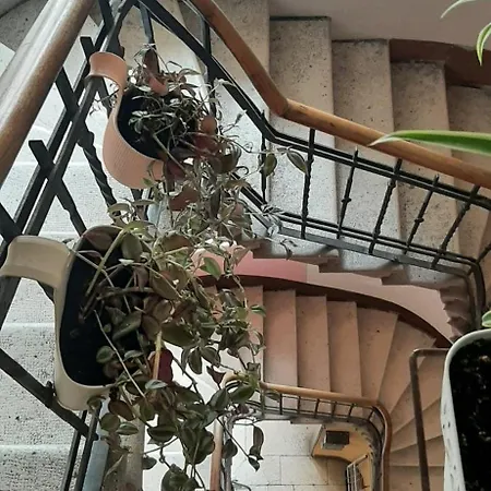 Argenta Luxury Gæstehus Split